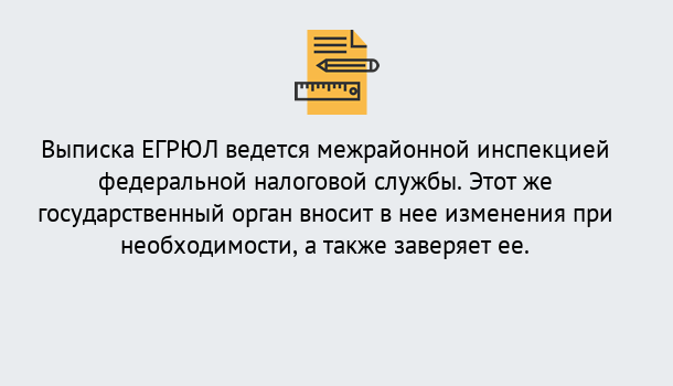 Почему нужно обратиться к нам? Кандалакша Выписка ЕГРЮЛ в Кандалакша ?