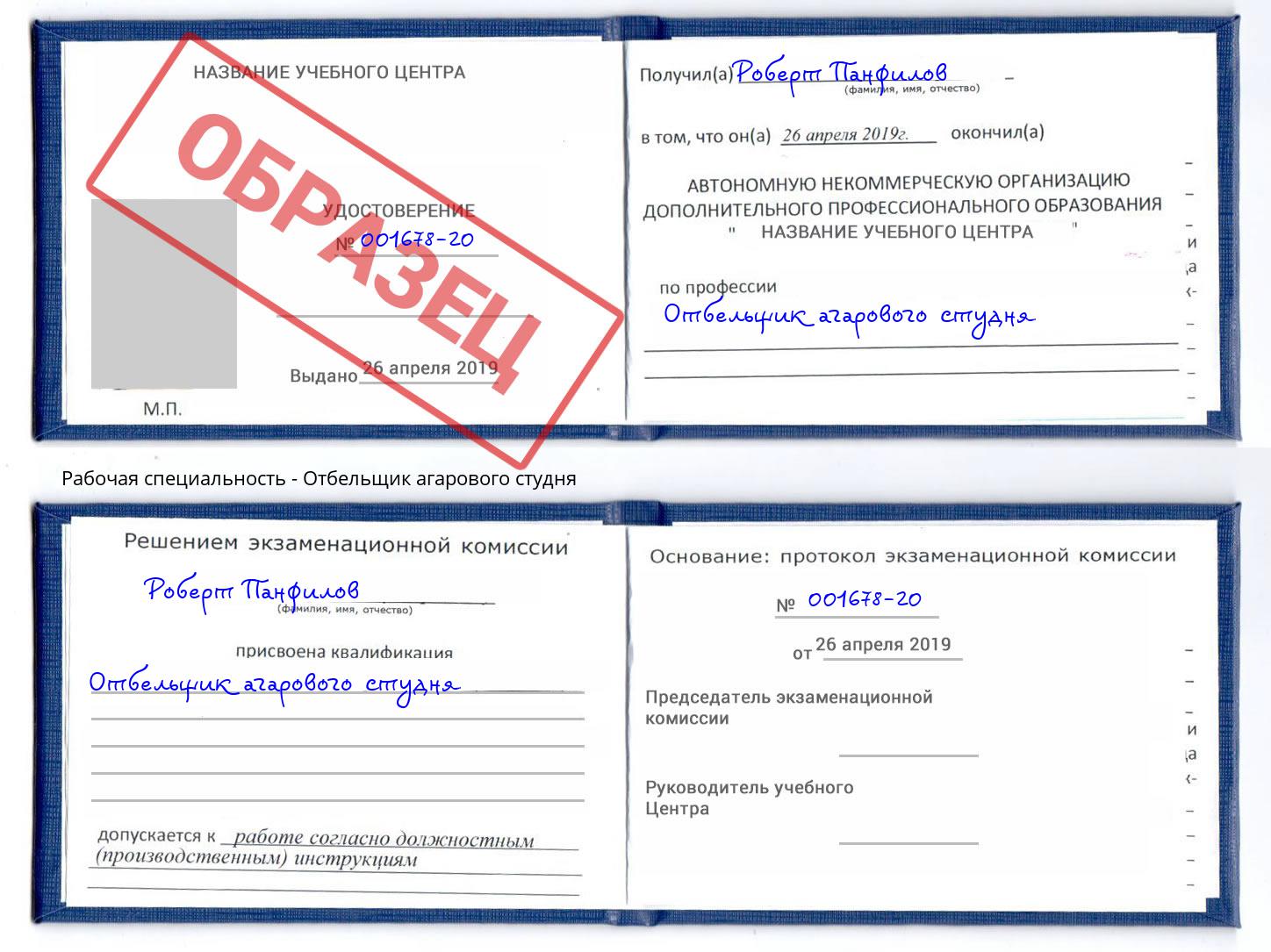 Отбельщик агарового студня Кандалакша