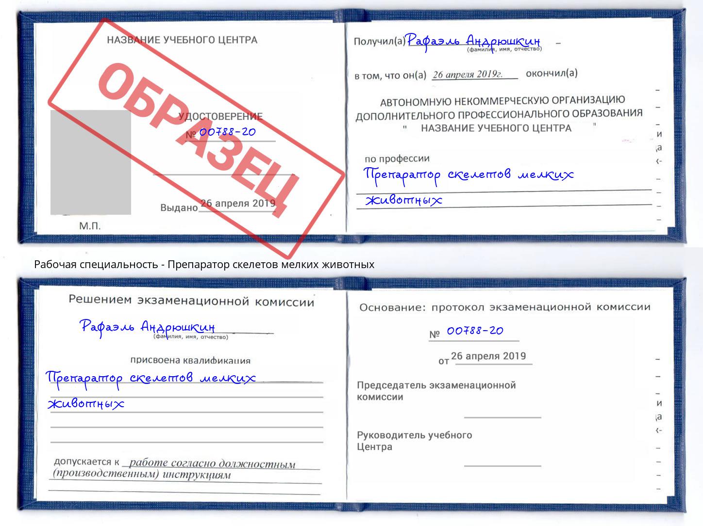 Препаратор скелетов мелких животных Кандалакша