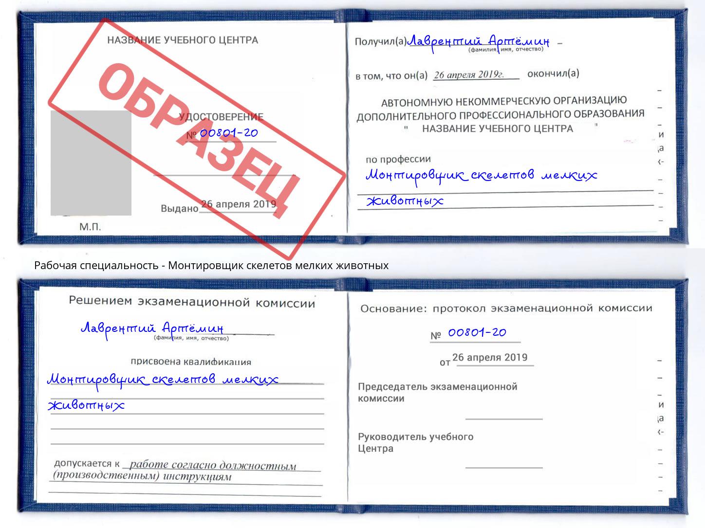 Монтировщик скелетов мелких животных Кандалакша