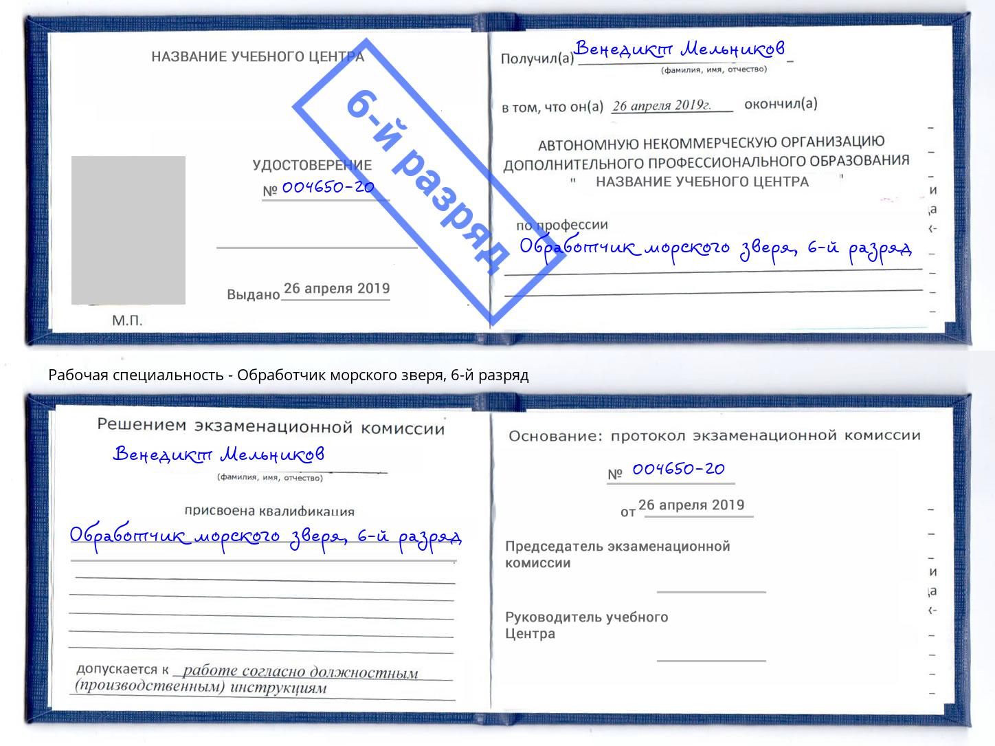 корочка 6-й разряд Обработчик морского зверя Кандалакша