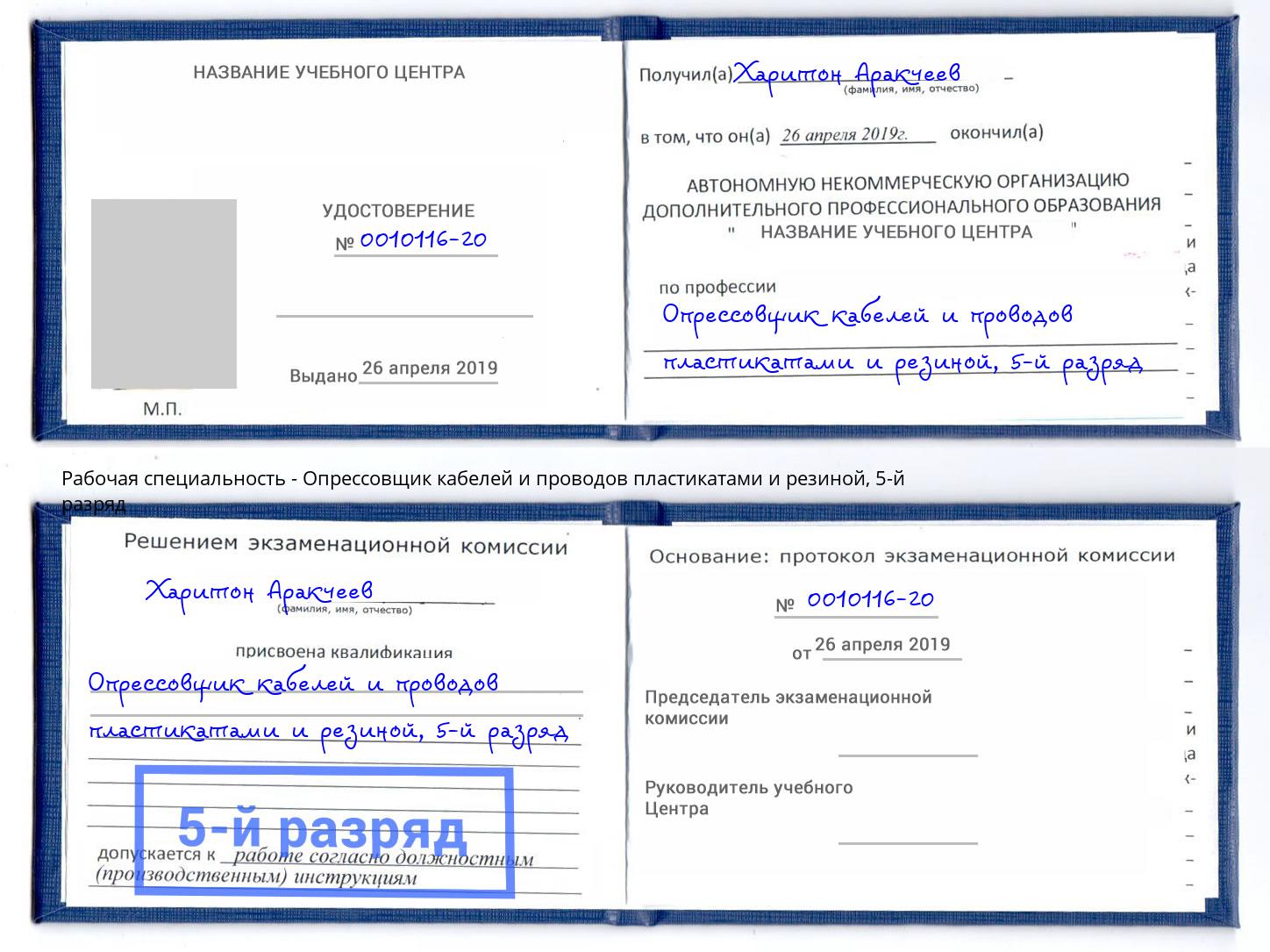 корочка 5-й разряд Опрессовщик кабелей и проводов пластикатами и резиной Кандалакша